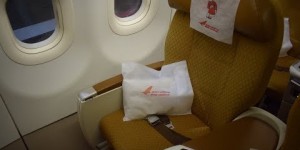 Beitragsbild des Blogbeitrags AUSFLUG: Air India Business Colombo – Südindien (Return): 300 Euro 
