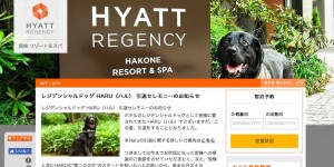 Beitragsbild des Blogbeitrags Der Hyatt Regency Hakone Hund geht in Pension 