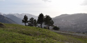 Beitragsbild des Blogbeitrags Griechenland HIGHLIGHT: Grand Forest Metsovo SLH – Suite 