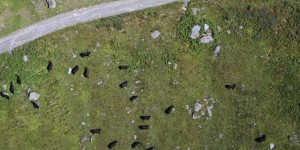 Beitragsbild des Blogbeitrags 500 Lufthansa Miles and More Meilen mit CO2 Kompensation