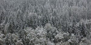 Beitragsbild des Blogbeitrags Österreichische Skiorte unter Quarantäne