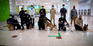 Beitragsbild des Blogbeitrags Dubai hat bereits Covid-19 Spürhunde am Airport im Einsatz 