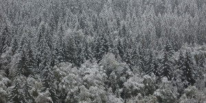 Beitragsbild des Blogbeitrags Österreich verschärft über Weihnachten die Einreisebeschränkungen
