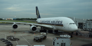 Beitragsbild des Blogbeitrags Singapur akzeptiert IATA Travel Pass App 