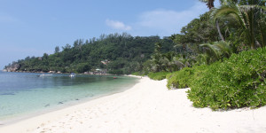 Beitragsbild des Blogbeitrags Ein Qatar Business Sale Brüssel – Dubai / Seychellen / Phuket