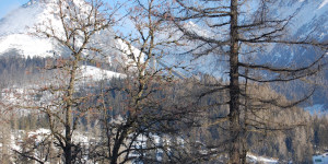 Beitragsbild des Blogbeitrags Covid-19 positive Ski-Urlauber fliegen statt Quarantäne einfach heim