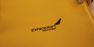Beitragsbild des Blogbeitrags DEAL: Ethiopian Business Oslo – Johannesburg (Return): 1.360 Euro