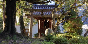 Beitragsbild des Blogbeitrags Japan erlaubt wieder Individualreisen