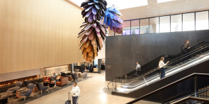 Beitragsbild des Blogbeitrags Denver erhält United Club mit 600 Sitzplätzen