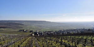Beitragsbild des Blogbeitrags 7.500 Miles and More Meilen mit Falstaff Abo