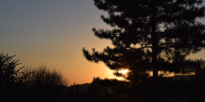 Beitragsbild des Blogbeitrags Condor Business Deals nach Mallorca