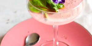 Beitragsbild des Blogbeitrags Rote Rübe Panna Cotta