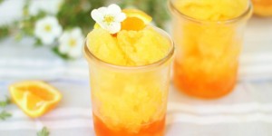 Beitragsbild des Blogbeitrags Orangen-Granita mit Aperol 