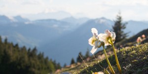 Beitragsbild des Blogbeitrags Wie soll die Welt das ertragen? Gedanken zur Wochenmitte & Blogparade zum Thema Nachhaltigkeit 