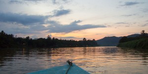 Beitragsbild des Blogbeitrags Warum ich keine Kinabatangan River Cruise mehr machen würde – Mein Erfahrungsbericht 