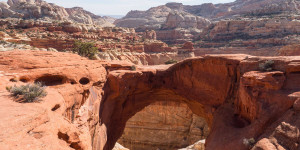 Beitragsbild des Blogbeitrags Capitol Reef Nationalpark in Utah, USA – ein versteckter Nationalpark mit vielen Highlights