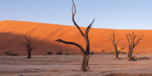 Beitragsbild des Blogbeitrags Sossusvlei & Deadvlei in Namibia für Selbstfahrer – Reisetipps & Fototipps 