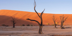 Beitragsbild des Blogbeitrags Sossusvlei & Deadvlei in Namibia für Selbstfahrer – Reisetipps & Fototipps
