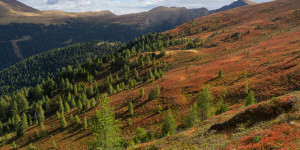 Beitragsbild des Blogbeitrags Wunderschöne Gipfel, endlose Weiten & Action – Im Sommer & Herbst auf der Turracher Höhe