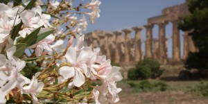 Beitragsbild des Blogbeitrags FlugenteOnTour: Agrigento und Selinunte – Auf den Spuren der alten Griechen in Sizilien 