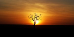 Beitragsbild des Blogbeitrags FlugentenParade: Bye bye Winter – hallo Sommer!