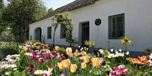 Beitragsbild des Blogbeitrags FlugentenAllerlei: Museumsfrühling Niederösterreich 2018 