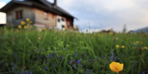 Beitragsbild des Blogbeitrags FlugenteAmBerg: Ausflug nach Malta zur Leonhardhütte (Almcamp 2018)