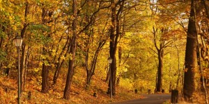 Beitragsbild des Blogbeitrags Die Sächsische Schweiz durch die herbstlich(t)e Fotolinse