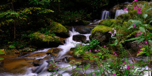 Beitragsbild des Blogbeitrags FlugenteAmBerg: Wanderung durch das Pesenbachtal zum Kerzenstein 