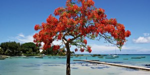 Beitragsbild des Blogbeitrags FlugenteOnTour: 7 Flugenten-Aussichts-Hotspots auf Mauritius 