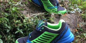 Beitragsbild des Blogbeitrags Dynafit Alpine Pro Vorstellung und Test