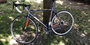 Beitragsbild des Blogbeitrags Unterwegs auf meinem neuen Gaul!