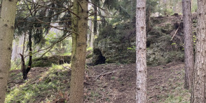 Beitragsbild des Blogbeitrags Outdoortagebuch 2020 Woche 38 – Ich hinke hinten nach
