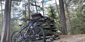 Beitragsbild des Blogbeitrags Mein Alpenstrom Online CleanUp