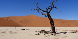 Beitragsbild des Blogbeitrags Namib-Naukluft und Sossusvlei: Ein fantastischer Wüstentag