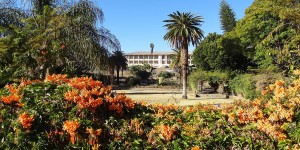 Beitragsbild des Blogbeitrags Windhoek: Ein Tag in Namibias windiger Ecke 