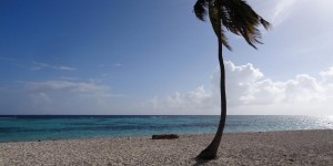 Beitragsbild des Blogbeitrags Zwei Wochen Karibikkreuzfahrt: Sonne, Strand und schöne Inseln 
