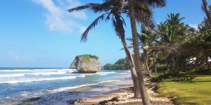 Beitragsbild des Blogbeitrags Ein Tag auf Barbados: Die schönsten Strände und Ausblicke 