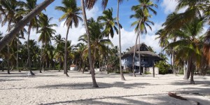 Beitragsbild des Blogbeitrags Ein Tag auf der Isla Saona: Paradiesische Dominikanische Republik
