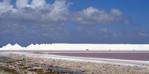Beitragsbild des Blogbeitrags Ein Tag auf Bonaire: Salz, Flamingos und Mangroven 