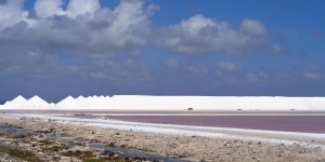 Beitragsbild des Blogbeitrags Ein Tag auf Bonaire: Salz, Flamingos und Mangroven