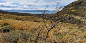Beitragsbild des Blogbeitrags Mit dem Jeep durch die Pampa: Ein Tag in El Calafate