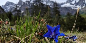 Beitragsbild des Blogbeitrags Waldness im Almtal: Entspannung pur in Oberösterreich 