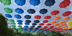 Beitragsbild des Blogbeitrags Gut beschirmt am Dorner Platz… 