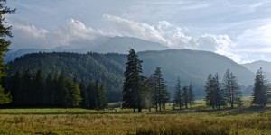 Beitragsbild des Blogbeitrags Ein Sonntag auf dem Lande