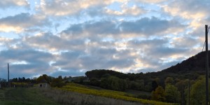 Beitragsbild des Blogbeitrags Herbstspaziergang auf den Leopoldsberg 