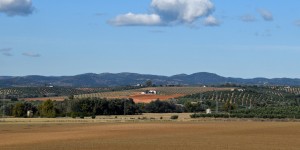 Beitragsbild des Blogbeitrags Von Madrid nach Córdoba durch Kastilien – La Mancha 
