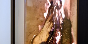 Beitragsbild des Blogbeitrags Jahresprojekt 365 Fotos – Jänner 