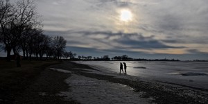 Beitragsbild des Blogbeitrags Zicksee im Seewinkel