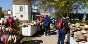 Beitragsbild des Blogbeitrags Raritätenbörse im Botanischen Garten Wien